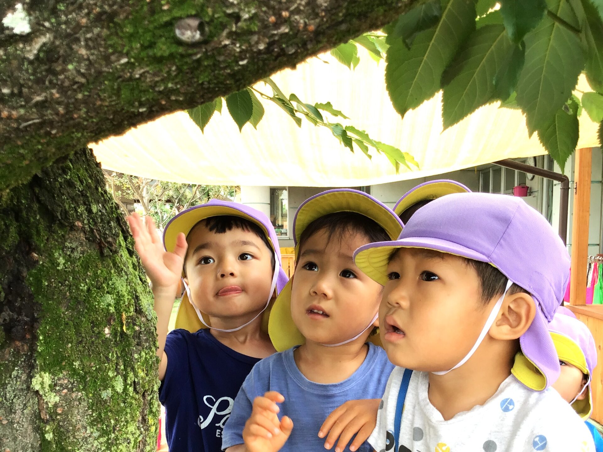 子どもが遊びに集中する様子